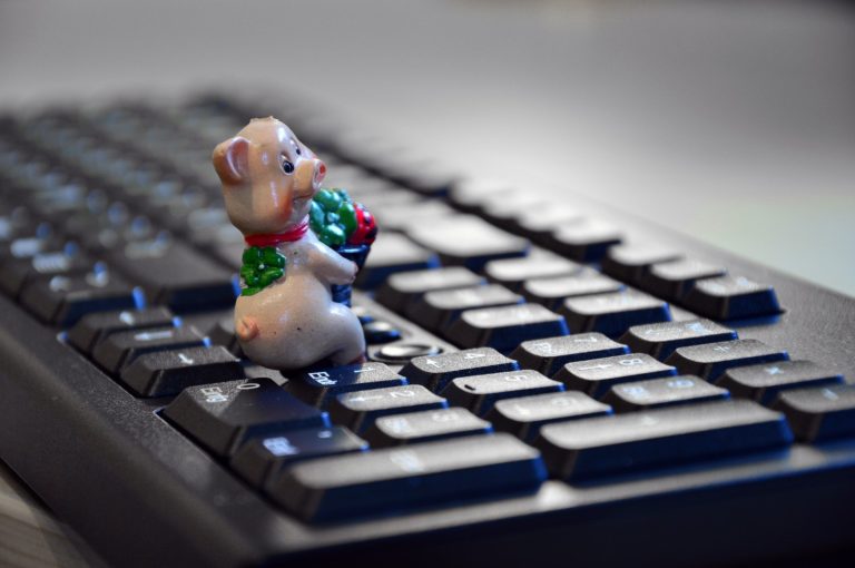 Bild von Peggy Choucair auf Pixabay