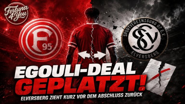 🔴⚪ TRANSFER-HAMMER 🔴⚪