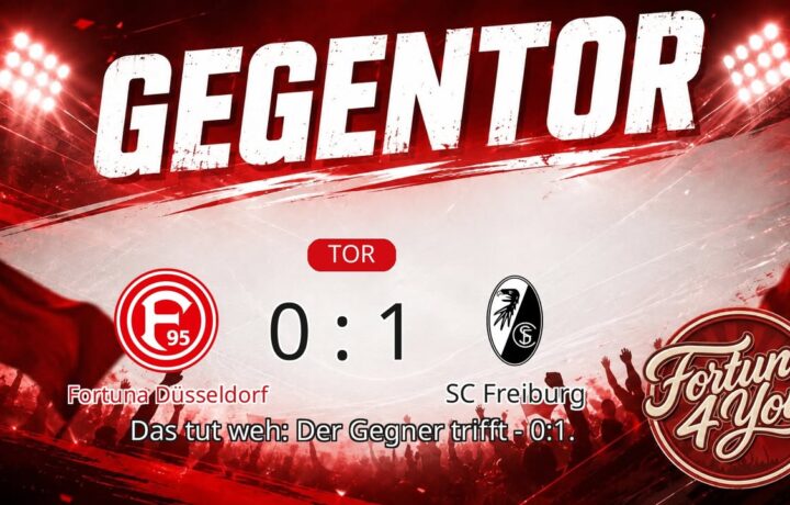 Gegentor. Neuer Spielstand: 0:1.