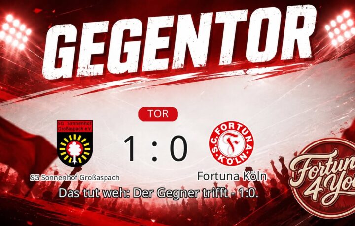 Gegentor. Neuer Spielstand: 1:0.