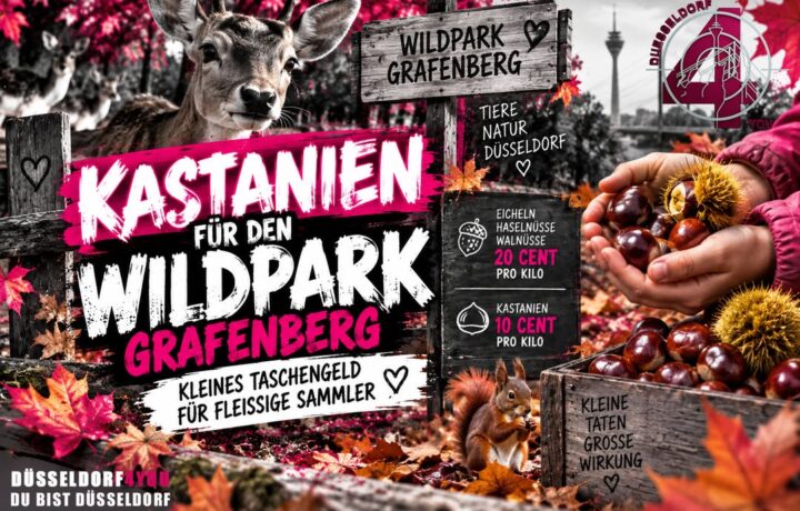 ☝️🫵👉 KASTANIEN FÜR DEN WILDPARK – KLEINES TASCHENGELD FÜR FLEISSIGE SAMMLER