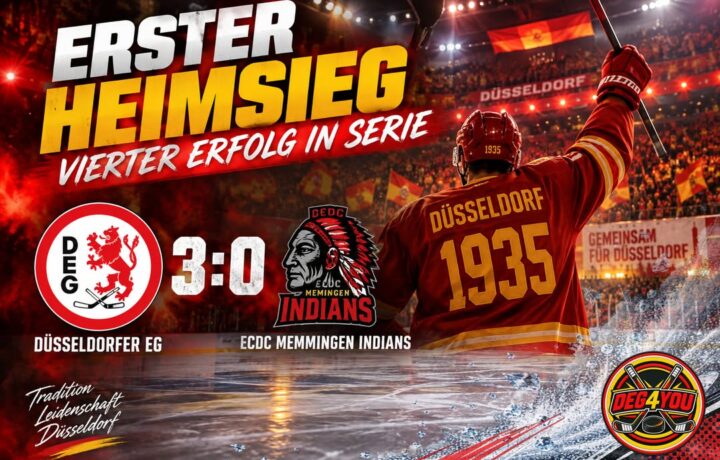 🏒🔴🟡
