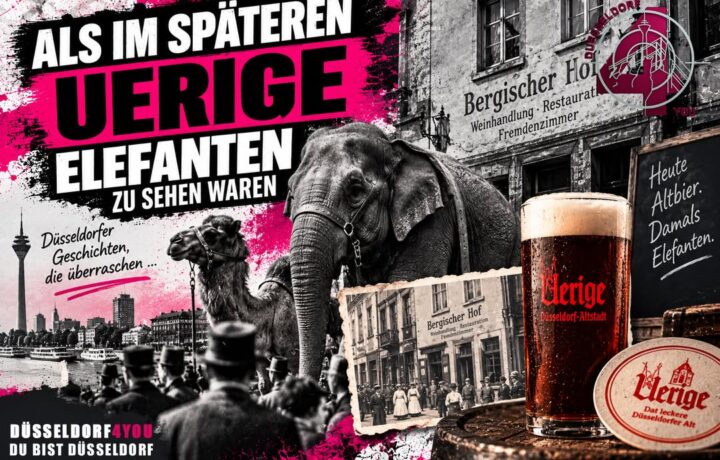 ☝️🫵👉 ALS IM SPÄTEREN UERIGE ELEFANTEN ZU SEHEN WAREN
