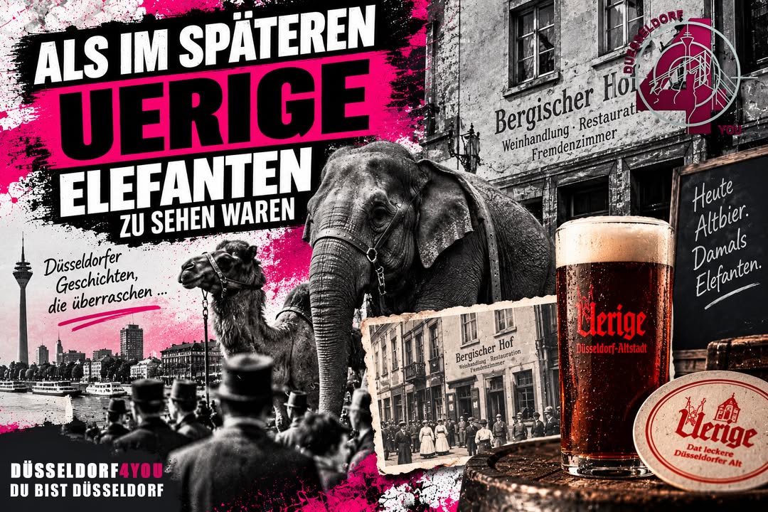☝️🫵👉 ALS IM SPÄTEREN UERIGE ELEFANTEN ZU SEHEN WAREN