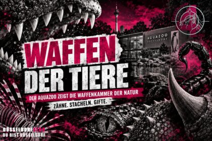 ☝️🫵👉 MIT ZÄHNEN, STACHELN UND GIFTEN: DER AQUAZOO ZEIGT DIE WAFFEN DER…
