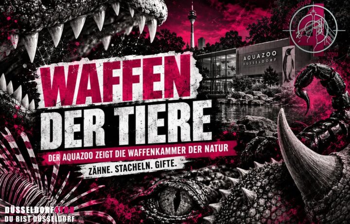 ☝️🫵👉 MIT ZÄHNEN, STACHELN UND GIFTEN: DER AQUAZOO ZEIGT DIE WAFFEN DER…