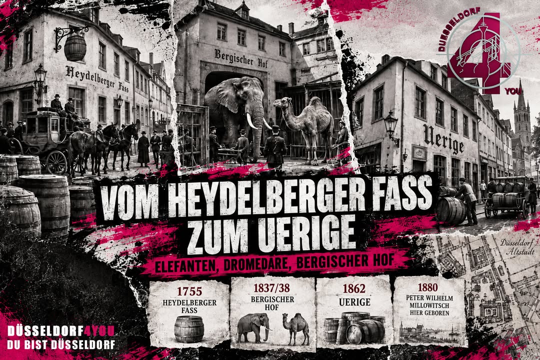 ☝️🫵👉 VOM HEYDELBERGER FASS ZUM UERIGE – ELEFANTEN, POSTKUTSCHEN UND EIN MILLOWITSCH
