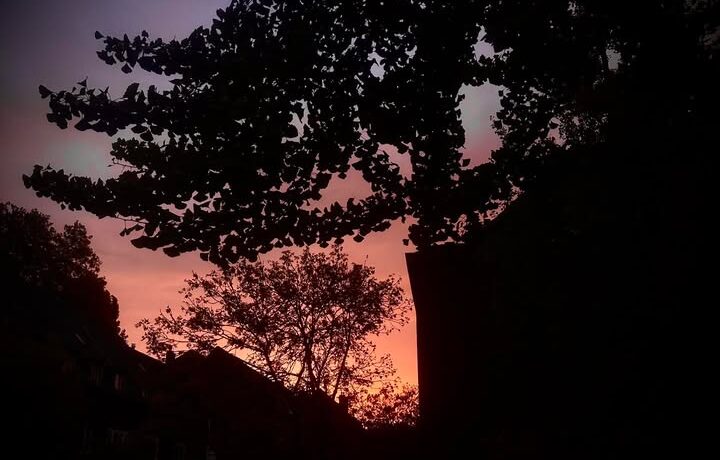 …morgens früh um 8 Uhr über dem #Düsseltal! #colorfull #mornings #düsseldorf