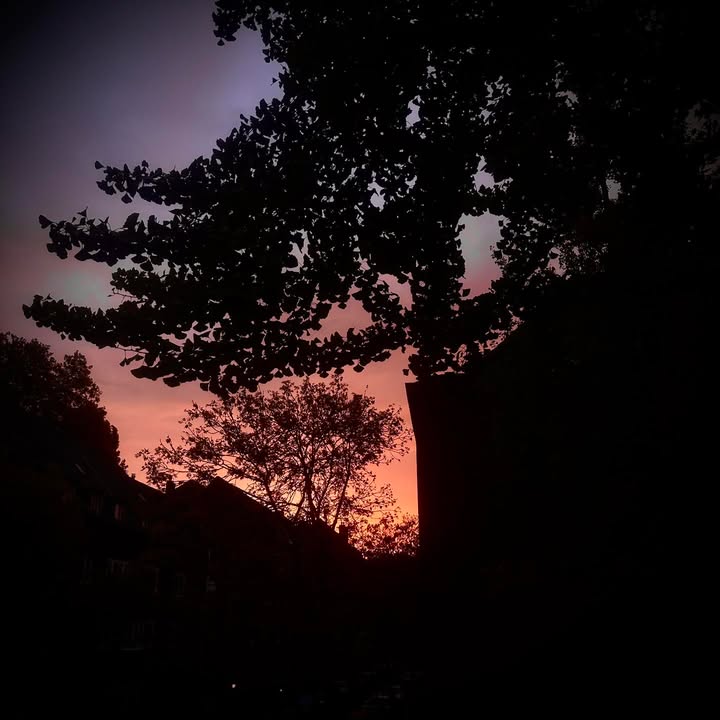 …morgens früh um 8 Uhr über dem #Düsseltal! #colorfull #mornings #düsseldorf